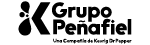 grupo peñafiel